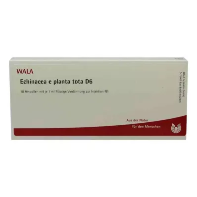 ECHINACEA E planta tota D 6 αμπούλες, 10X1 ml