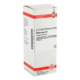 ALLIUM CEPA Αραίωση D 6, 50 ml