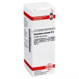 EQUISETUM ARVENSE Αραίωση D 6, 20 ml