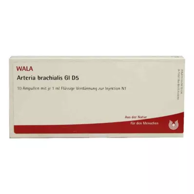 ARTERIA BRACHIALIS GL D 5 αμπούλες, 10X1 ml