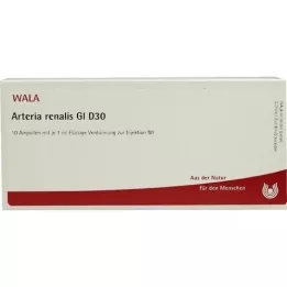 ARTERIA RENALIS GL D 30 αμπούλες, 10X1 ml