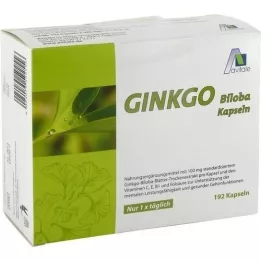 GINKGO Κάψουλες 100 mg+B1+C+E, 192 τεμάχια