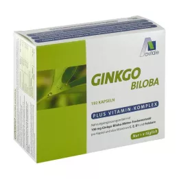 GINKGO Κάψουλες 100 mg+B1+C+E, 192 τεμάχια
