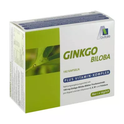 GINKGO Κάψουλες 100 mg+B1+C+E, 192 τεμάχια