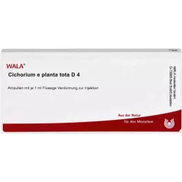 CICHORIUM E planta tota D 4 αμπούλες, 10X1 ml