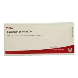 EQUISETUM EX Herba D 6 αμπούλες, 10X1 ml