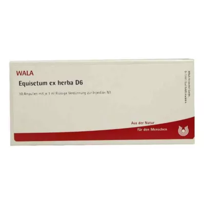 EQUISETUM EX Herba D 6 αμπούλες, 10X1 ml EQUISETUM EX Herba D 6 αμπούλες, 10X1 ml