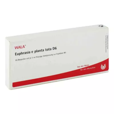 EUPHRASIA E planta tota D 6 αμπούλες, 10X1 ml EUPHRASIA E planta tota D 6 αμπούλες, 10X1 ml