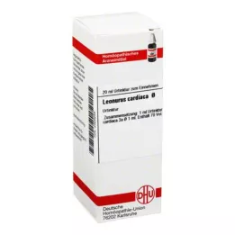 LEONURUS CARDIACA Μητρικό βάμμα, 20 ml