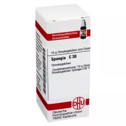 SPONGIA C 30 σφαιρίδια, 10 g