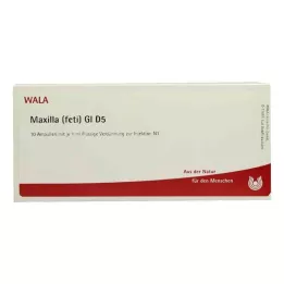 MAXILLA feti GL D 5 αμπούλες, 10X1 ml