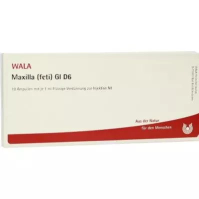 MAXILLA feti GL D 6 αμπούλες, 10X1 ml MAXILLA feti GL D 6 αμπούλες, 10X1 ml