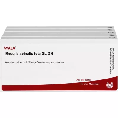 MEDULLA SPINALIS tota GL D 6 αμπούλες, 50X1 ml