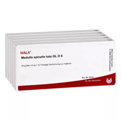 MEDULLA SPINALIS tota GL D 6 αμπούλες, 50X1 ml MEDULLA SPINALIS tota GL D 6 αμπούλες, 50X1 ml