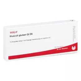 MUSCULI GLUTAEI GL D 5 αμπούλες, 10X1 ml