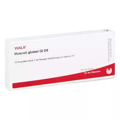 MUSCULI GLUTAEI GL D 5 αμπούλες, 10X1 ml