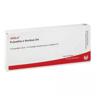 PULSATILLA E floribus D 4 αμπούλες, 10X1 ml PULSATILLA E floribus D 4 αμπούλες, 10X1 ml