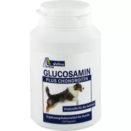 GLUCOSAMIN+CHONDROITIN Κάψουλες για σκύλους, 120 τεμάχια