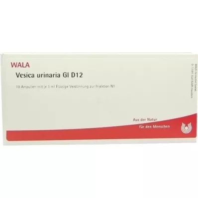 VESICA URINARIA GL D 12 αμπούλες, 10X1 ml