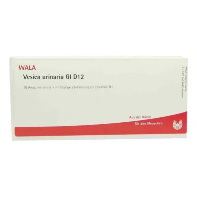 Φύσιγγες Vesica Urinaria Gl D12 (10x1 ml)