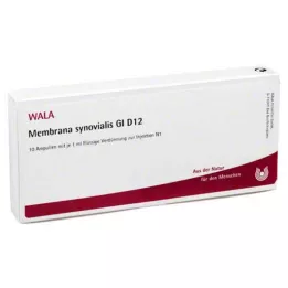 MEMBRANA synovialis GL D 12 αμπούλες, 10X1 ml