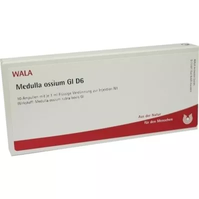 MEDULLA OSSIUM GL D 6 αμπούλες, 10X1 ml
