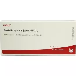 MEDULLA SPINALIS tota GL D 30 αμπούλες, 10X1 ml