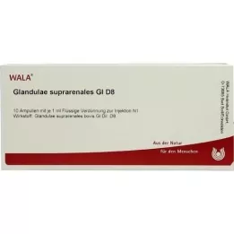GLANDULAE SUPRARENALES GL D 8 αμπούλες, 10X1 ml