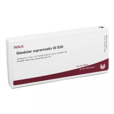 Glandulae suprarenalis GL D 30 αμπούλες, 10X1 ml Glandulae suprarenalis GL D 30 αμπούλες, 10X1 ml
