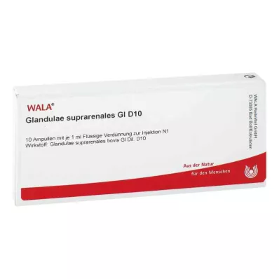 Glandulae supraren.Φύσιγγες Gl D10 (10x1 ml)