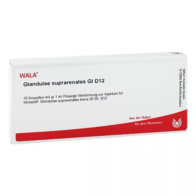 Glandulae suprarenalis GL D 12 αμπούλες, 10X1 ml Glandulae suprarenalis GL D 12 αμπούλες, 10X1 ml