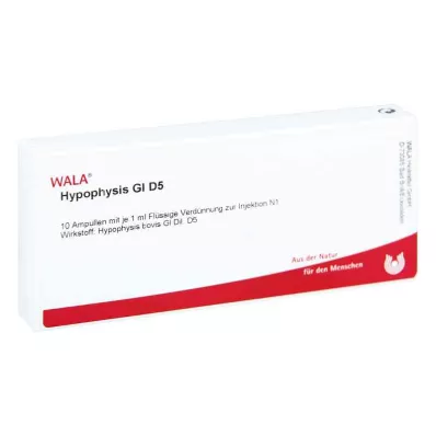 HYPOPHYSIS GL D 5 αμπούλες, 10X1 ml HYPOPHYSIS GL D 5 αμπούλες, 10X1 ml