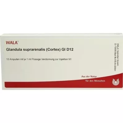 GLANDULA SUPRARENALES φλοιός GL D 12 αμπούλες, 10X1 ml