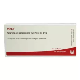 GLANDULA SUPRARENALES φλοιός GL D 12 αμπούλες, 10X1 ml