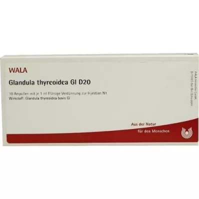 GLANDULA THYREOIDEA GL D 20 αμπούλες, 10X1 ml