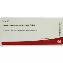 FASCICULUS atrioventricularis GL D 8 αμπούλες, 10X1 ml