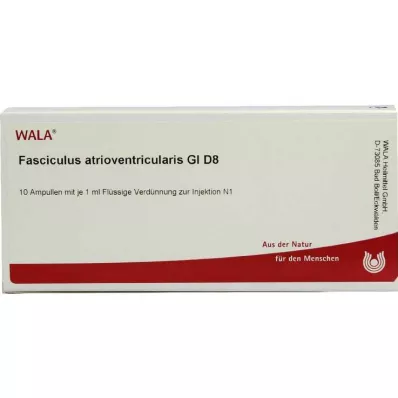 FASCICULUS atrioventricularis GL D 8 αμπούλες, 10X1 ml FASCICULUS atrioventricularis GL D 8 αμπούλες, 10X1 ml