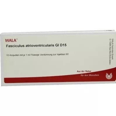 FASCICULUS atrioventricularis GL D 15 αμπούλες, 10X1 ml