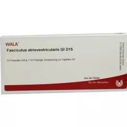 FASCICULUS atrioventricularis GL D 15 αμπούλες, 10X1 ml