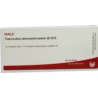 FASCICULUS atrioventricularis GL D 15 αμπούλες, 10X1 ml FASCICULUS atrioventricularis GL D 15 αμπούλες, 10X1 ml