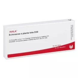 ECHINACEA E planta tota D 30 αμπούλες, 10X1 ml