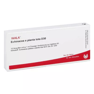 ECHINACEA E planta tota D 30 αμπούλες, 10X1 ml ECHINACEA E planta tota D 30 αμπούλες, 10X1 ml