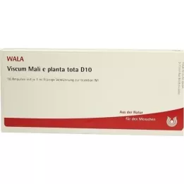 VISCUM MALI e planta tota D 10 αμπούλες, 10X1 ml