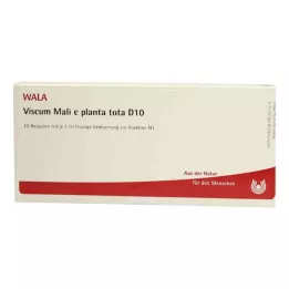 VISCUM MALI e planta tota D 10 αμπούλες, 10X1 ml