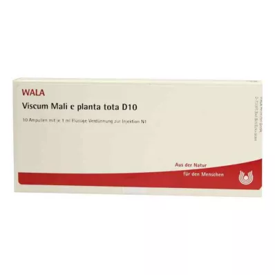 VISCUM MALI e planta tota D 10 αμπούλες, 10X1 ml VISCUM MALI e planta tota D 10 αμπούλες, 10X1 ml