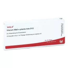 VISCUM MALI e planta tota D 12 αμπούλες, 10X1 ml