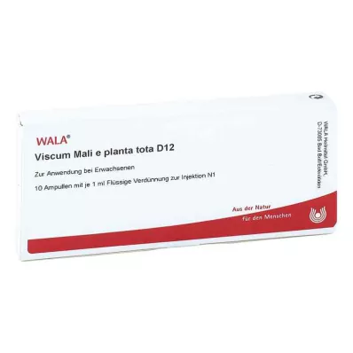 VISCUM MALI e planta tota D 12 αμπούλες, 10X1 ml