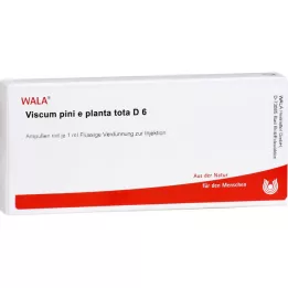 VISCUM PINI e planta tota D 6 αμπούλες, 10X1 ml