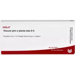 VISCUM PINI e planta tota D 6 αμπούλες, 10X1 ml