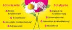 Instructions for use for Υγρό Kamillan®, 1000 ml - 2